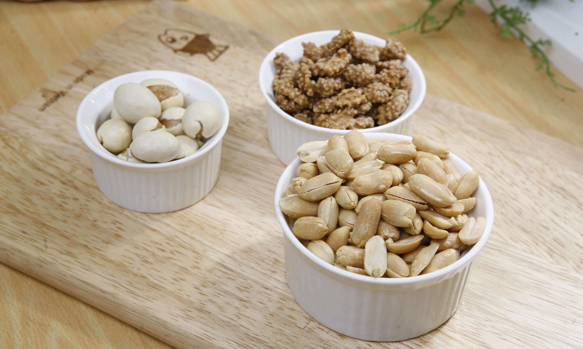 peanut food allergy
